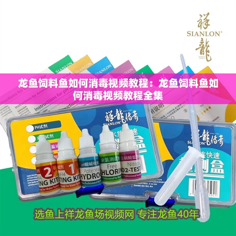 龍魚飼料魚如何消毒視頻教程：龍魚飼料魚如何消毒視頻教程全集