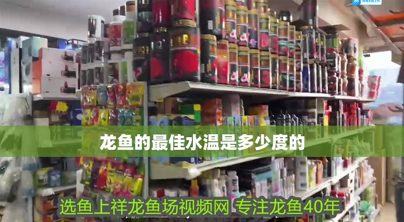 龍魚的最佳水溫是多少度的 龍魚百科 第2張 龍魚的最佳水溫是多少度的 龍魚的最佳水溫是多少度的 龍魚百科 第2張