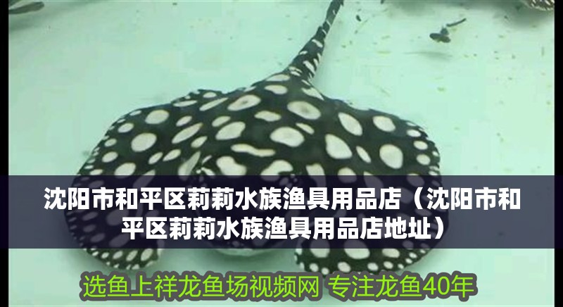 沈陽市和平區(qū)莉莉水族漁具用品店（沈陽市和平區(qū)莉莉水族漁具用品店地址）