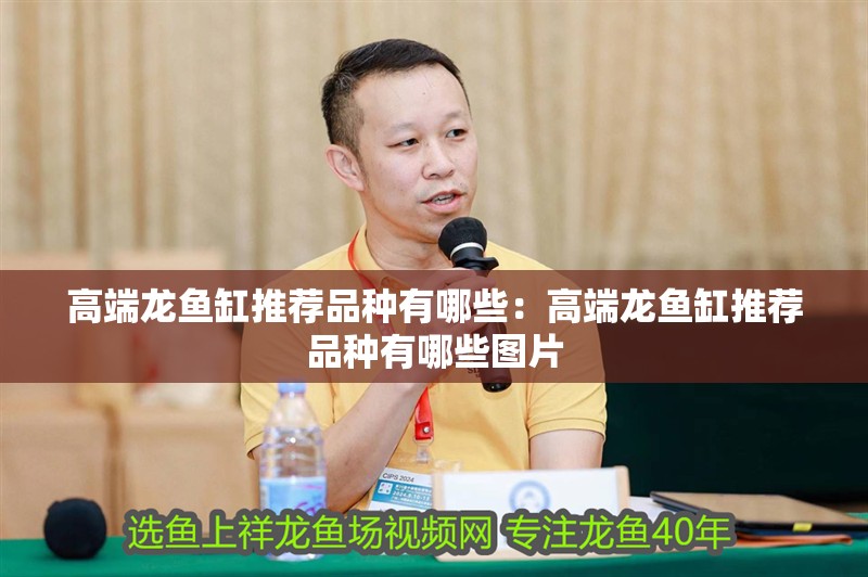 高端龍魚缸推薦品種有哪些：高端龍魚缸推薦品種有哪些圖片