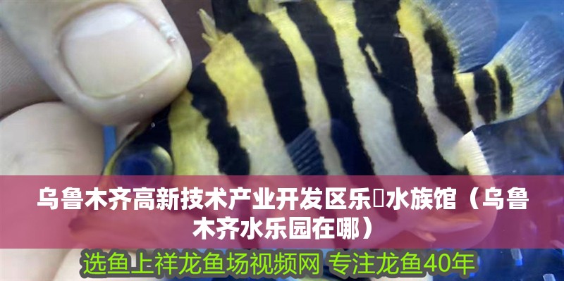 烏魯木齊高新技術產業開發區樂焜水族館（烏魯木齊水樂園在哪）