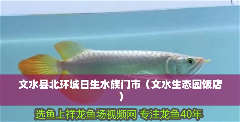 文水縣北環(huán)城日生水族門市（文水生態(tài)園飯店）