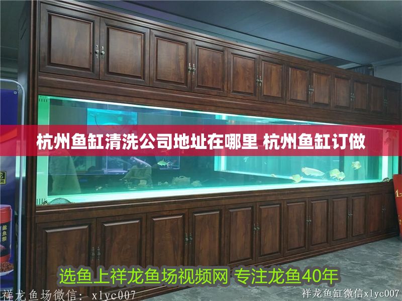 杭州魚缸清洗公司地址在哪里 杭州魚缸訂做