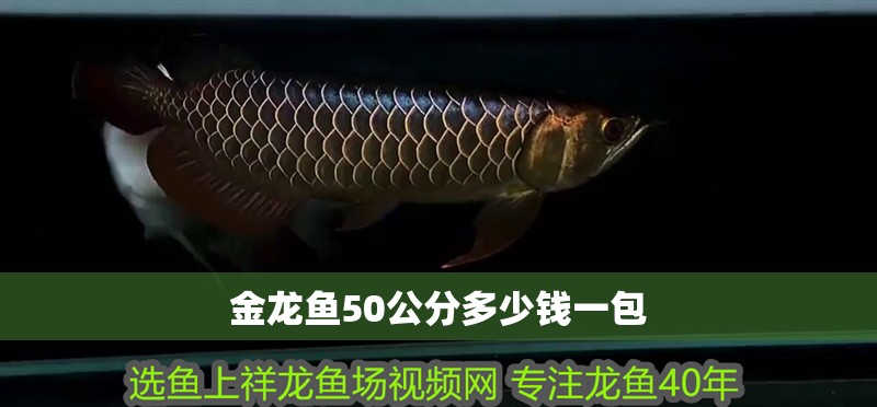 金龍魚50公分多少錢一包