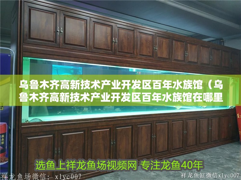 烏魯木齊高新技術產業開發區百年水族館（烏魯木齊高新技術產業開發區百年水族館在哪里）