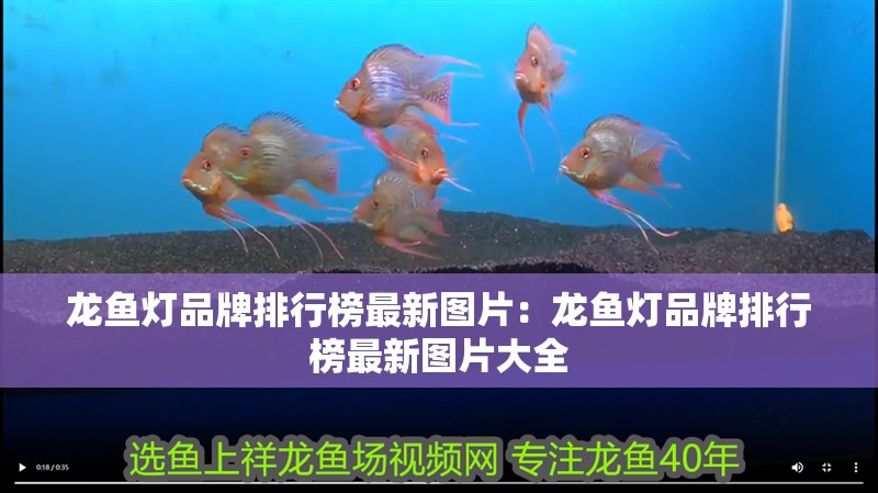 龍魚燈品牌排行榜最新圖片：龍魚燈品牌排行榜最新圖片大全
