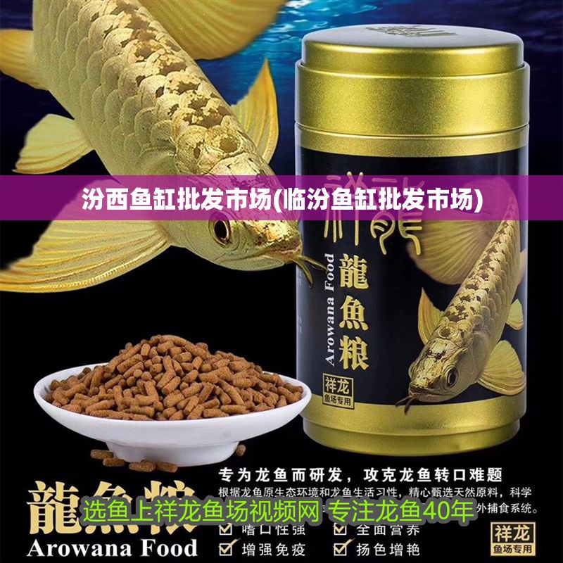 汾西魚缸批發市場(臨汾魚缸批發市場) 錦鯉魚百科 第1張 汾西魚缸批發市場(臨汾魚缸批發市場) 汾西魚缸批發市場(臨汾魚缸批發市場) 錦鯉魚百科 第1張