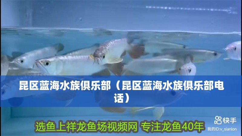 昆區(qū)藍海水族俱樂部（昆區(qū)藍海水族俱樂部電話）