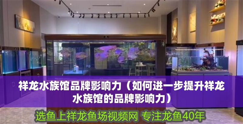 祥龍水族館品牌影響力（如何進一步提升祥龍水族館的品牌影響力）