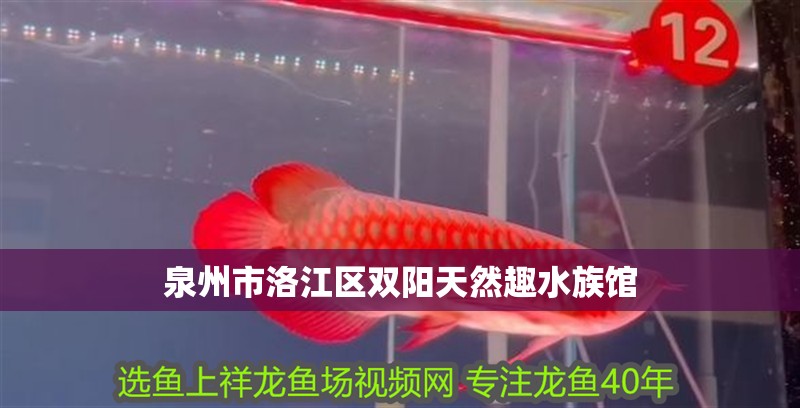 泉州市洛江區(qū)雙陽(yáng)天然趣水族館