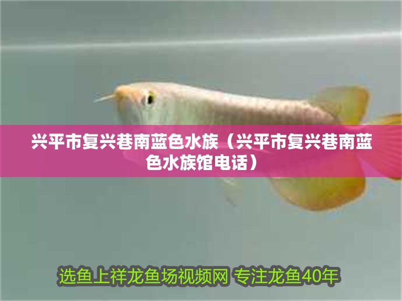 興平市復興巷南藍色水族（興平市復興巷南藍色水族館電話）