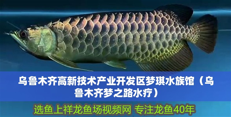 烏魯木齊高新技術(shù)產(chǎn)業(yè)開(kāi)發(fā)區(qū)夢(mèng)琪水族館（烏魯木齊夢(mèng)之路水療）