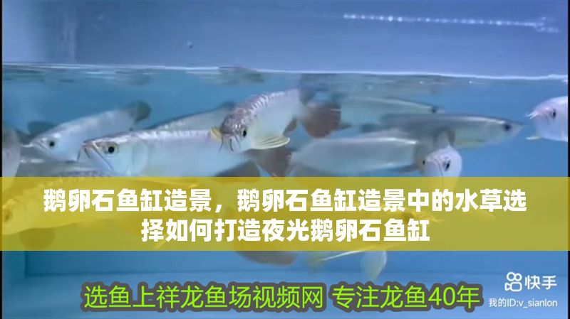 鵝卵石魚缸造景，鵝卵石魚缸造景中的水草選擇如何打造夜光鵝卵石魚缸
