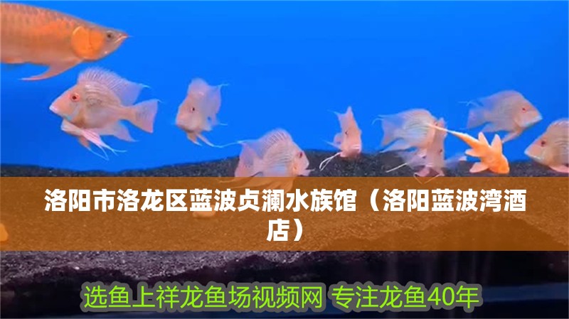 洛陽市洛龍區藍波貞瀾水族館（洛陽藍波灣酒店）