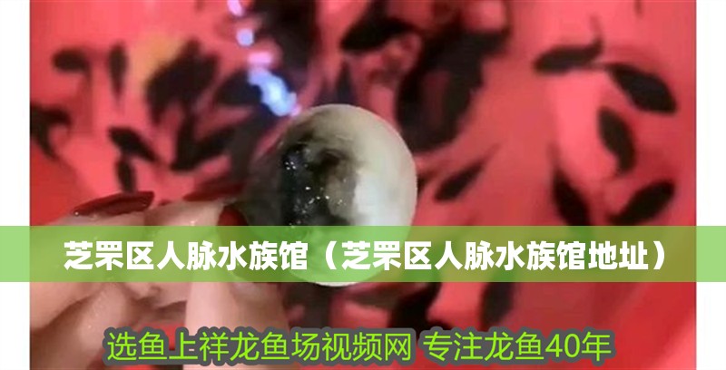 芝罘區人脈水族館（芝罘區人脈水族館地址）