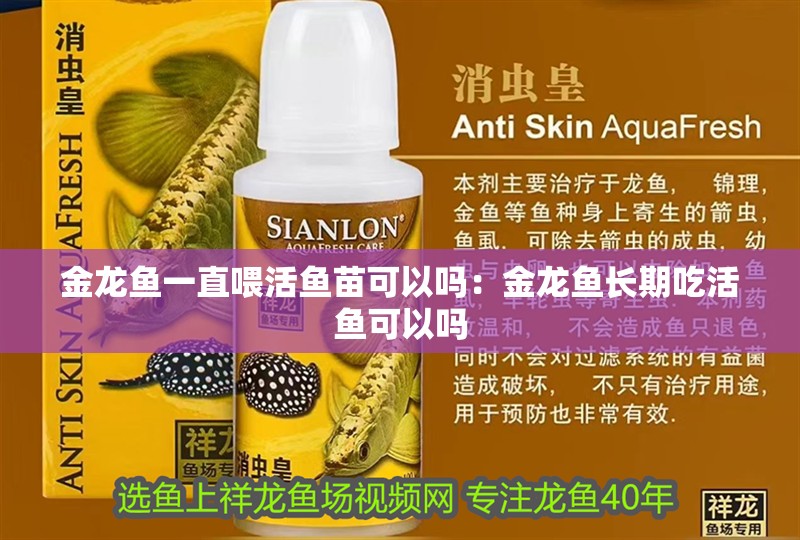 金龍魚一直喂活魚苗可以嗎：金龍魚長期吃活魚可以嗎 金龍魚一直喂活魚苗可以嗎：金龍魚長期吃活魚可以嗎 水族問答