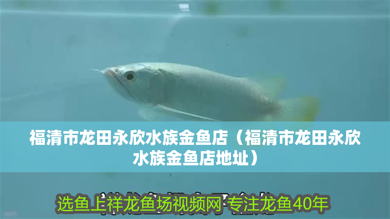 福清市龍田永欣水族金魚店（福清市龍田永欣水族金魚店地址）
