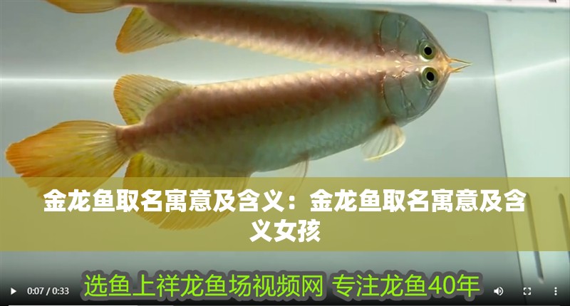 金龍魚取名寓意及含義：金龍魚取名寓意及含義女孩