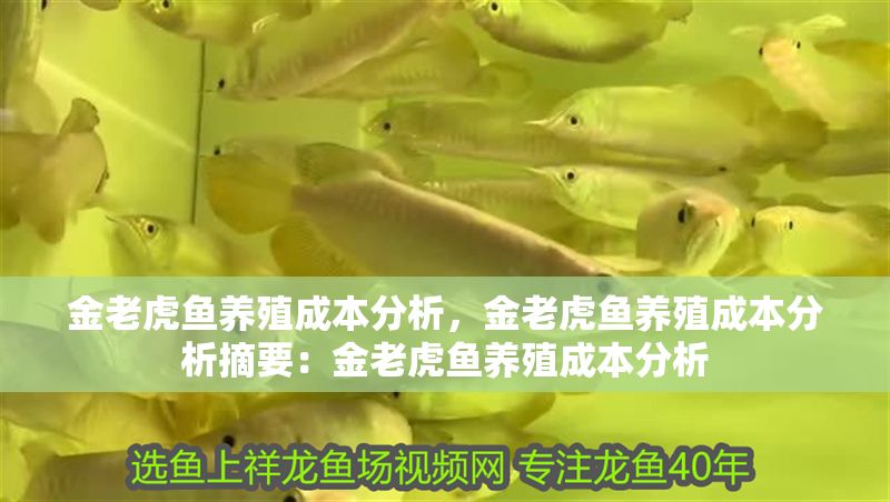 金老虎魚養殖成本分析，金老虎魚養殖成本分析摘要：金老虎魚養殖成本分析