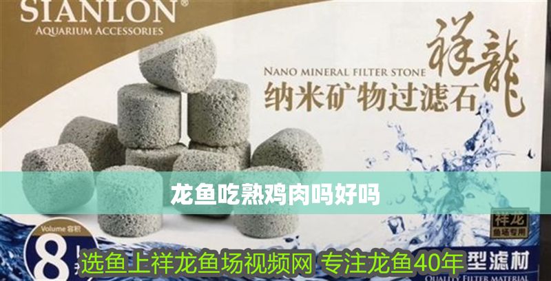 龍魚吃熟雞肉嗎好嗎