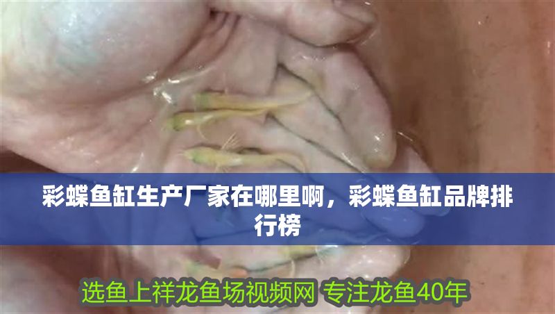彩蝶魚(yú)缸生產(chǎn)廠家在哪里啊，彩蝶魚(yú)缸品牌排行榜