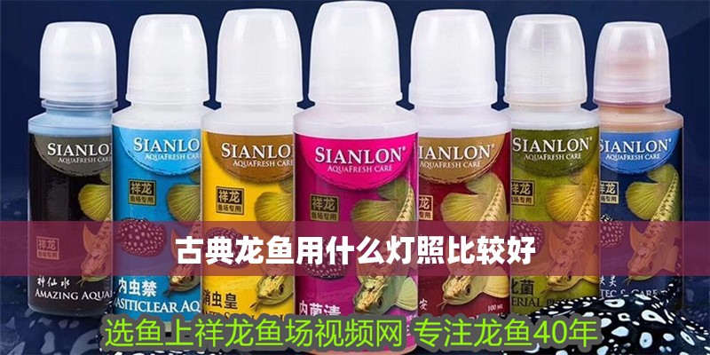 古典龍魚用什么燈照比較好