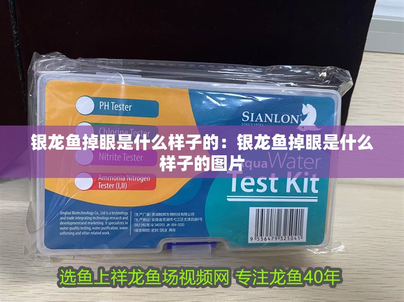 銀龍魚(yú)掉眼是什么樣子的：銀龍魚(yú)掉眼是什么樣子的圖片