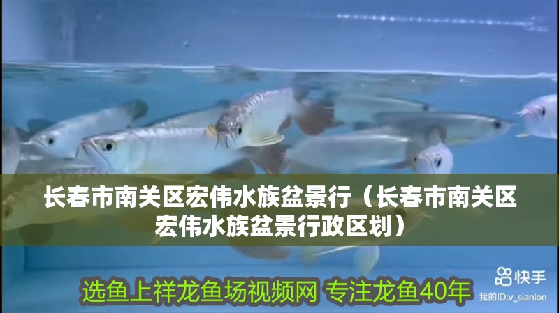 長春市南關區宏偉水族盆景行（長春市南關區宏偉水族盆景行政區劃）
