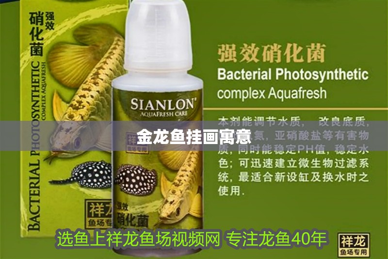 金龍魚掛畫寓意