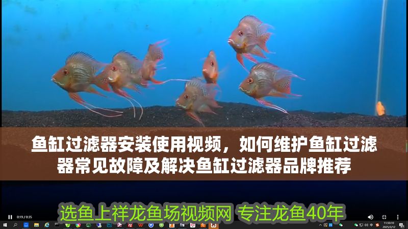 魚缸過濾器安裝使用視頻，如何維護魚缸過濾器常見故障及解決魚缸過濾器品牌推薦