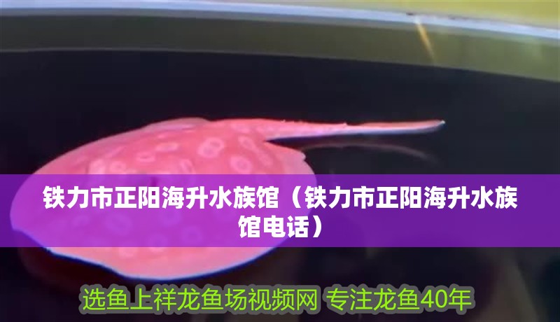 鐵力市正陽海升水族館（鐵力市正陽海升水族館電話）