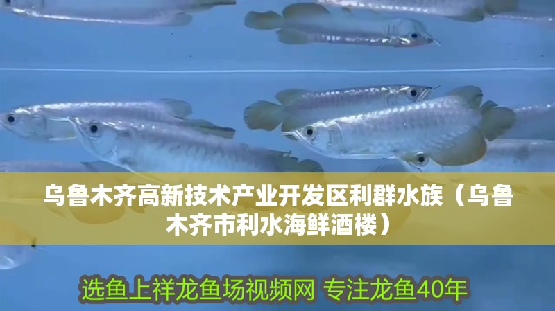 烏魯木齊高新技術產業開發區利群水族（烏魯木齊市利水海鮮酒樓） 烏魯木齊高新技術產業開發區利群水族（烏魯木齊市利水海鮮酒樓） 全國水族館企業名錄 第2張