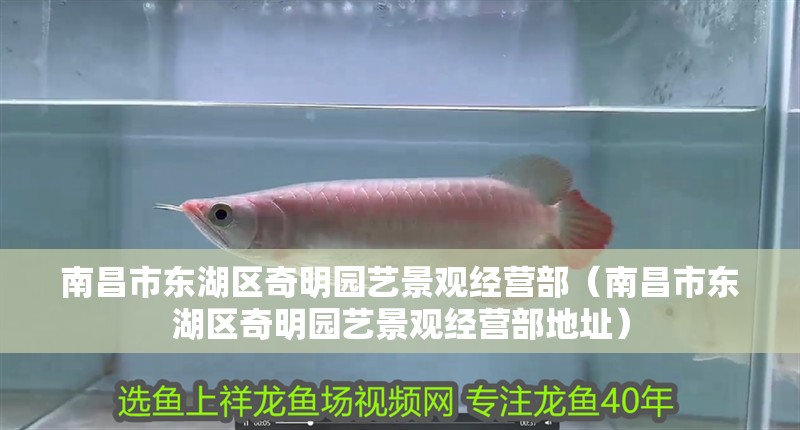 南昌市東湖區奇明園藝景觀經營部（南昌市東湖區奇明園藝景觀經營部地址）