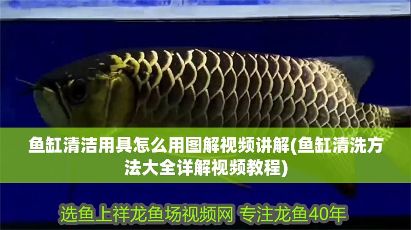 魚缸清潔用具怎么用圖解視頻講解(魚缸清洗方法大全詳解視頻教程)