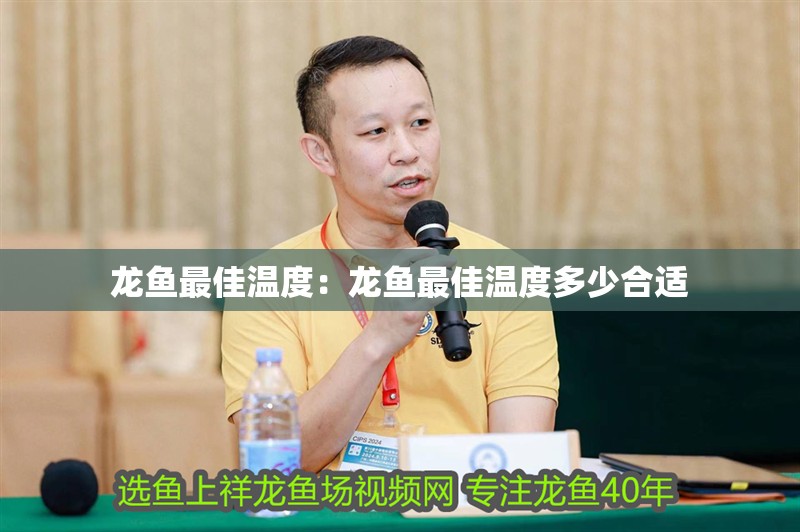 龍魚最佳溫度：龍魚最佳溫度多少合適