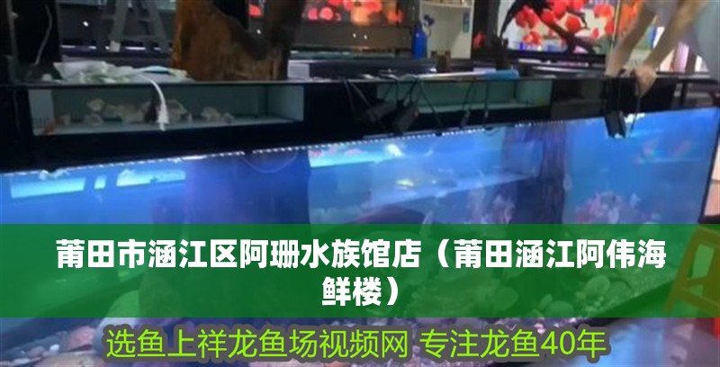 莆田市涵江區阿珊水族館店（莆田涵江阿偉海鮮樓）