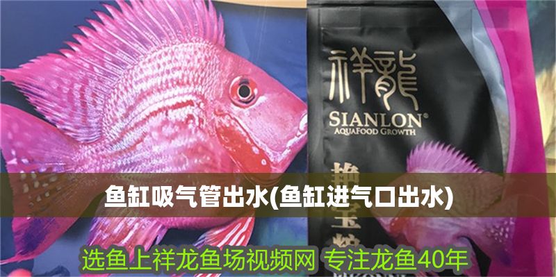 魚缸吸氣管出水(魚缸進(jìn)氣口出水)