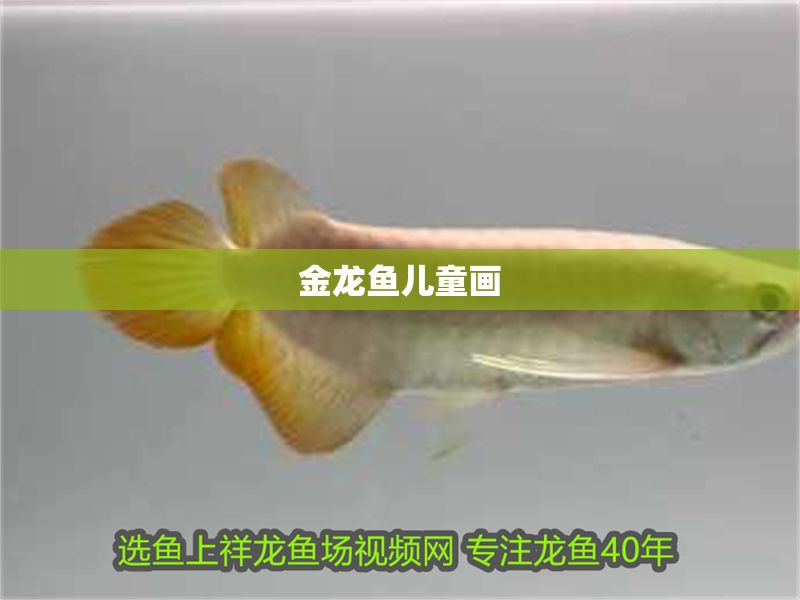 金龍魚兒童畫