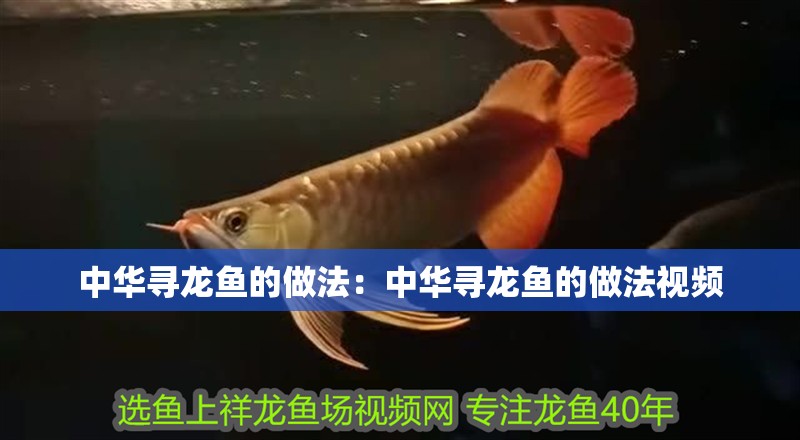 中華尋龍魚的做法：中華尋龍魚的做法視頻