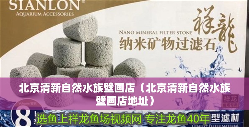北京清新自然水族壁畫店（北京清新自然水族壁畫店地址） 北京清新自然水族壁畫店（北京清新自然水族壁畫店地址） 全國水族館企業名錄 第4張