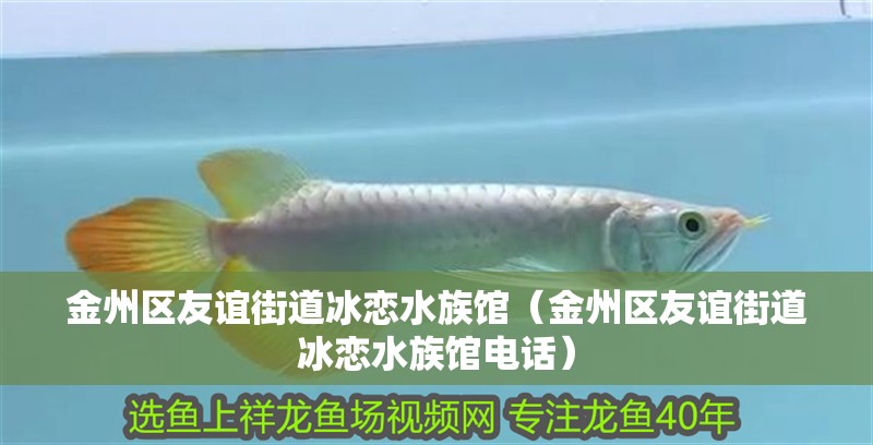 金州區(qū)友誼街道冰戀水族館（金州區(qū)友誼街道冰戀水族館電話）