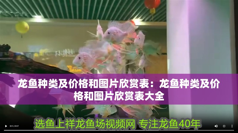龍魚種類及價格和圖片欣賞表：龍魚種類及價格和圖片欣賞表大全