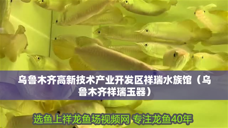 烏魯木齊高新技術產業開發區祥瑞水族館（烏魯木齊祥瑞玉器）