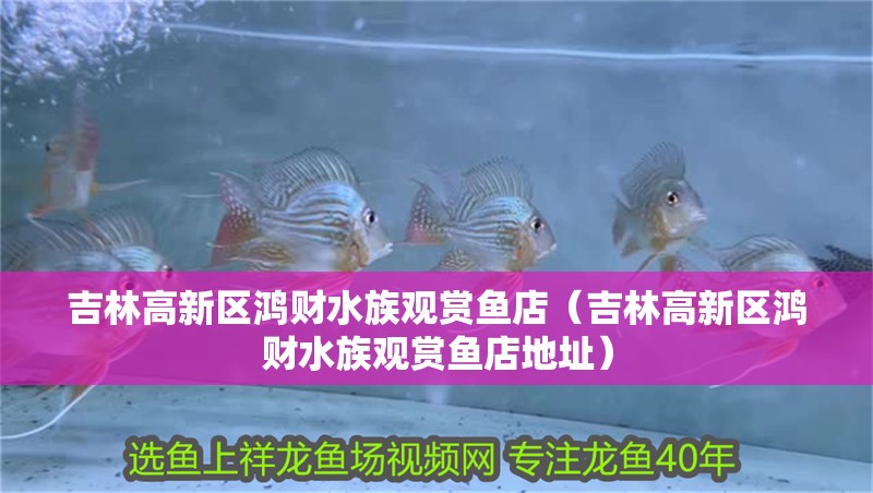 吉林高新區鴻財水族觀賞魚店（吉林高新區鴻財水族觀賞魚店地址）