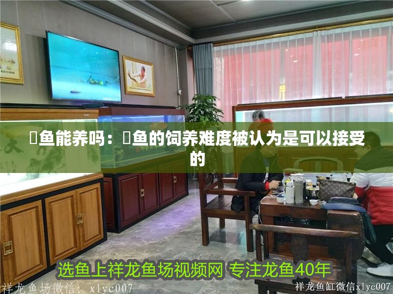 魟魚能養(yǎng)嗎：魟魚的飼養(yǎng)難度被認為是可以接受的