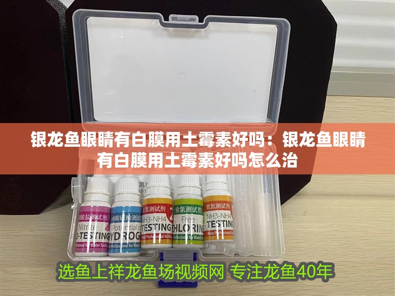 銀龍魚眼睛有白膜用土霉素好嗎：銀龍魚眼睛有白膜用土霉素好嗎怎么治