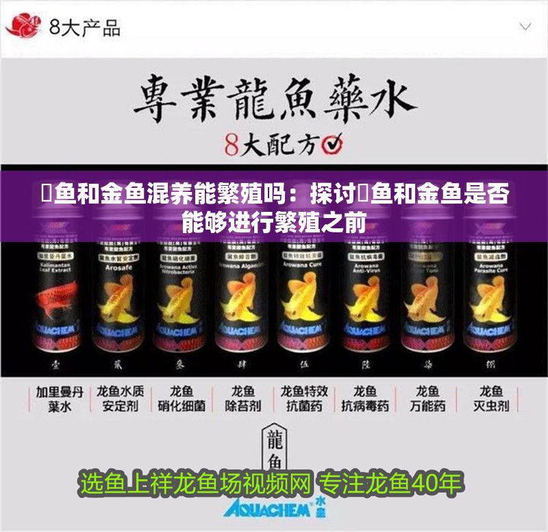 魟魚和金魚混養能繁殖嗎：探討魟魚和金魚是否能夠進行繁殖之前