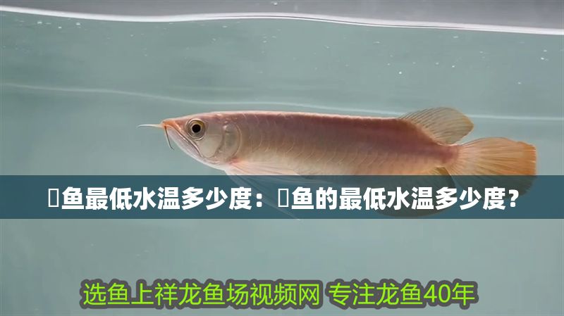魟魚最低水溫多少度：魟魚的最低水溫多少度？