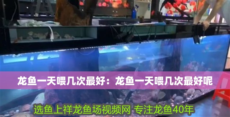龍魚一天喂幾次最好：龍魚一天喂幾次最好呢