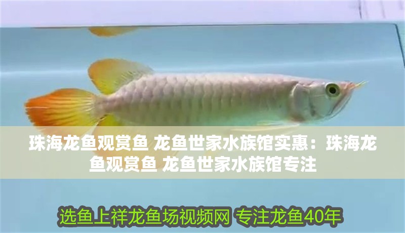 云浮魚缸定做定制價(jià)格及圖片大全集(定制魚缸圖片大全尺寸)